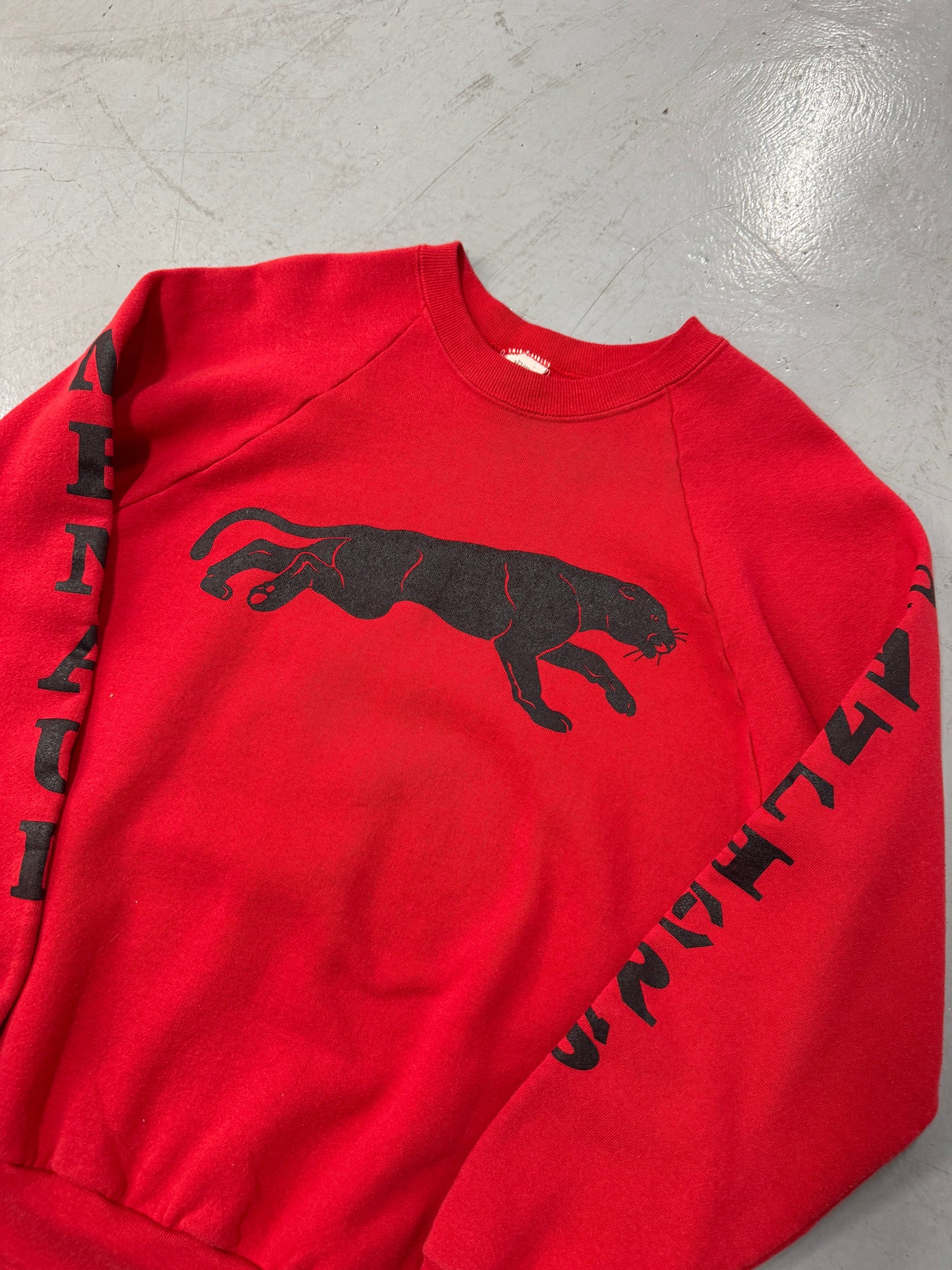 1980s Panthers Crewneck [M]