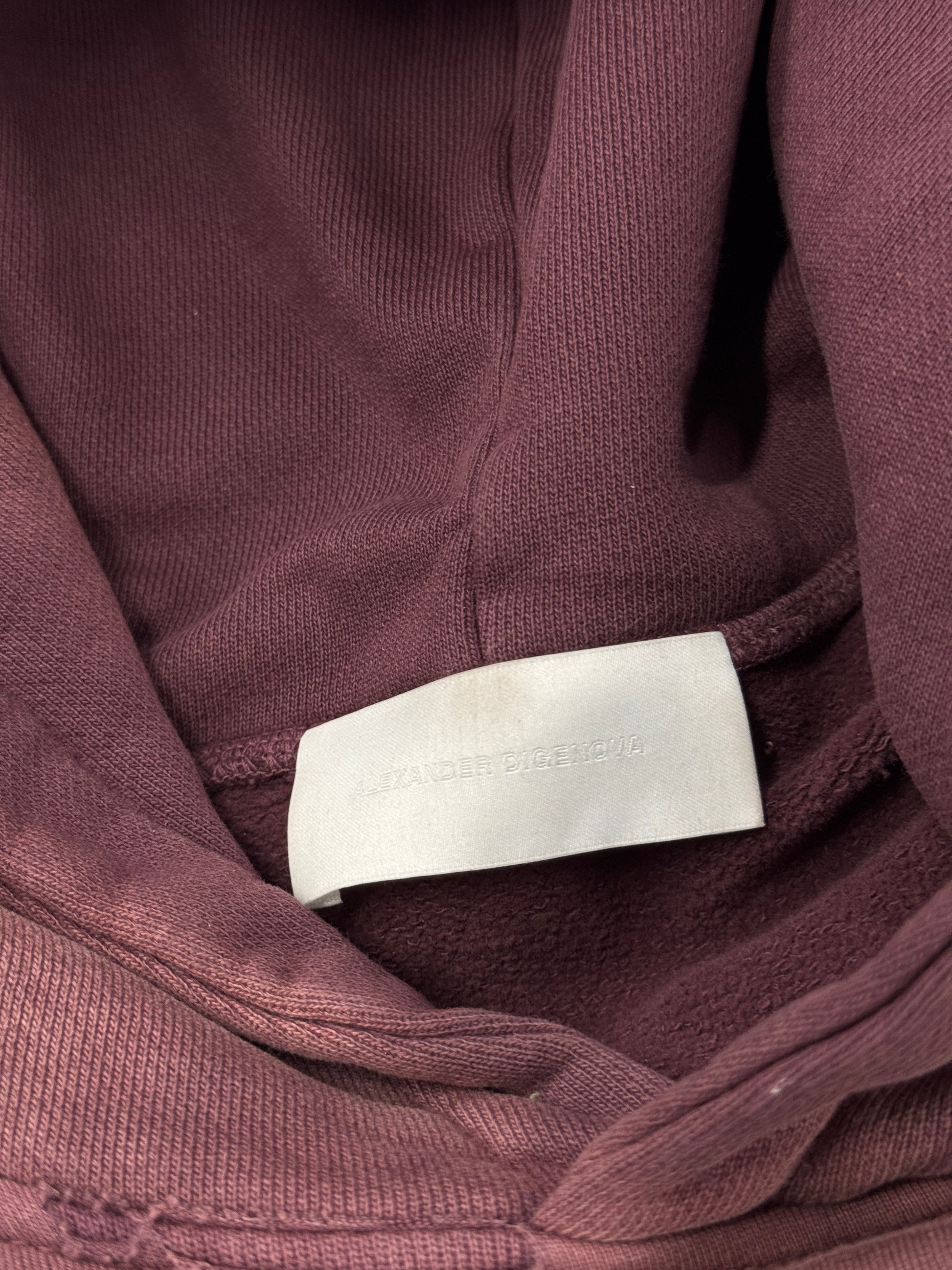 Alexander Digenova Hoodie [1]