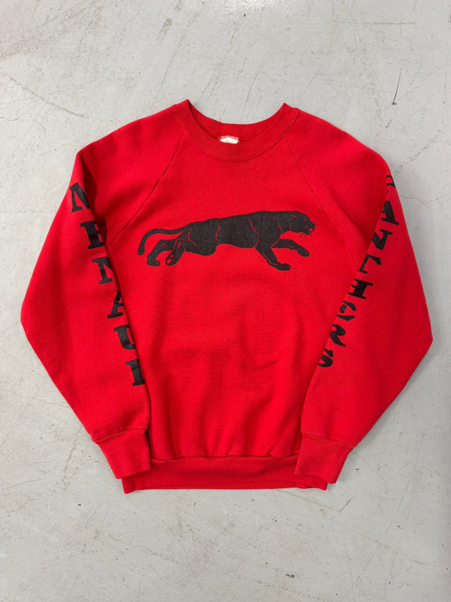 1980s Panthers Crewneck [M]