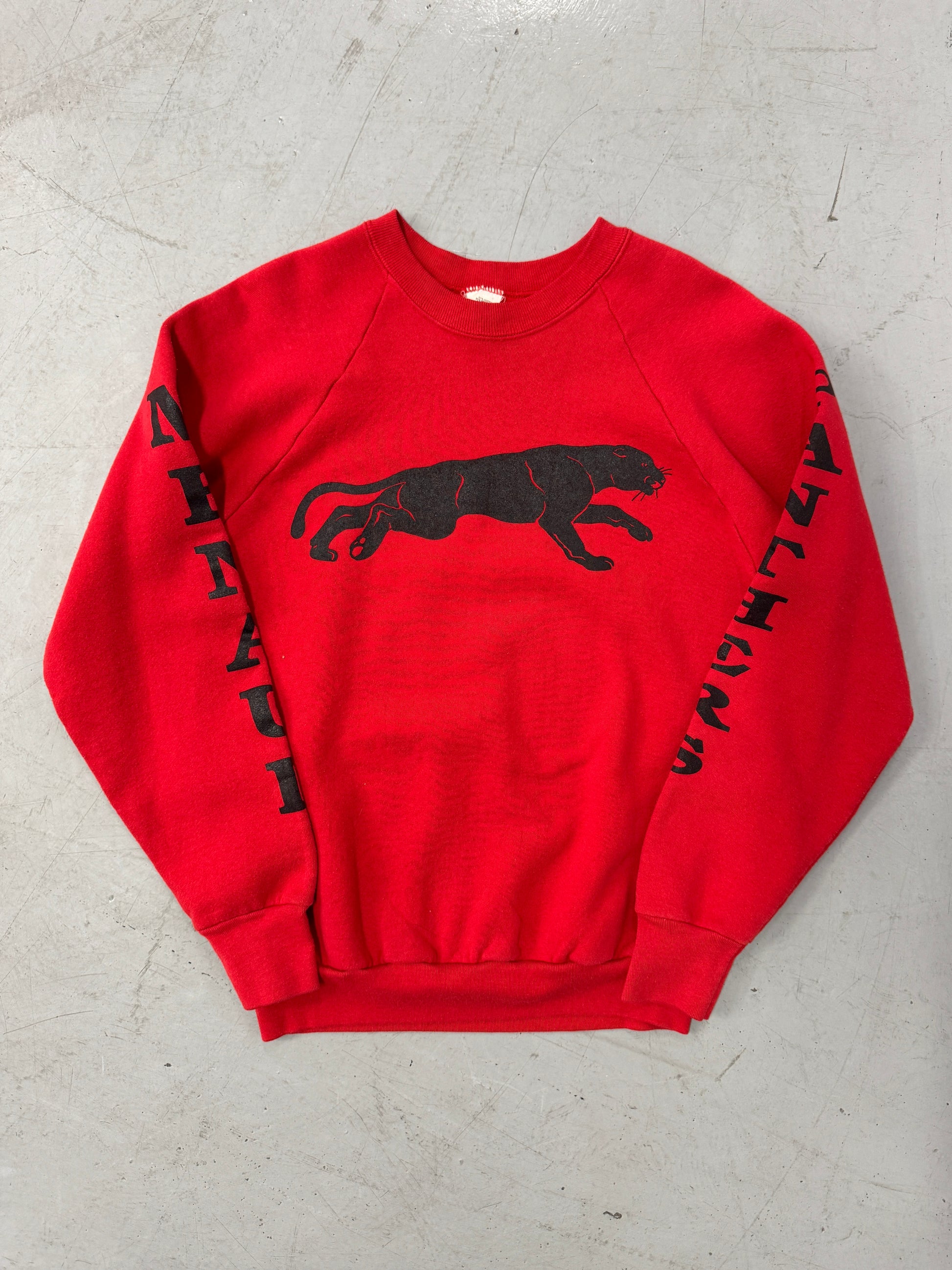 1980s Panthers Crewneck [M]