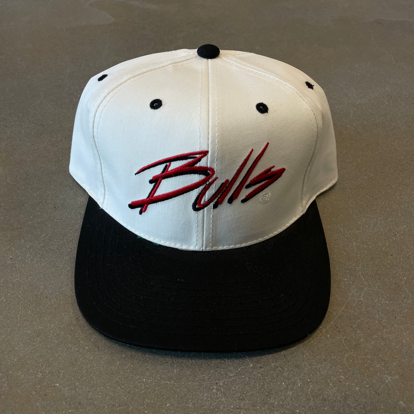 Vintage 1990s Chicago Bulls x Apple Snapback Hat