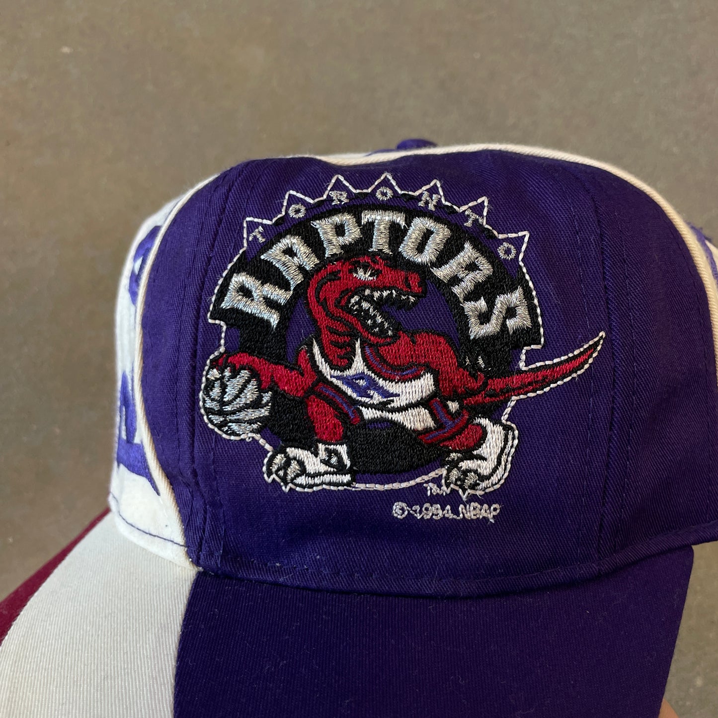 Vintage 1990s Toronto Raptos Swirl Snapback Hat