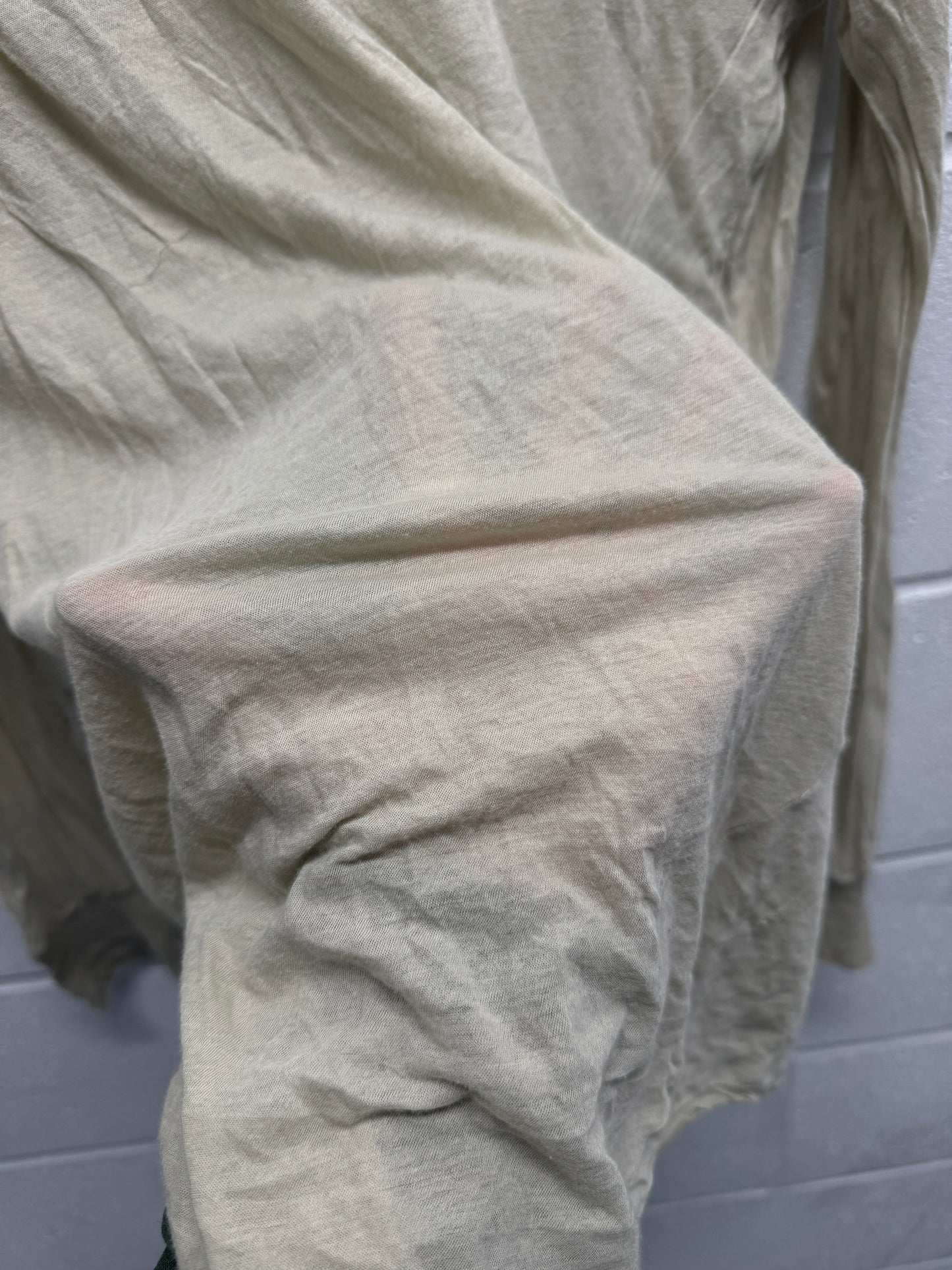 Y2K Sheer Longsleeve [L]