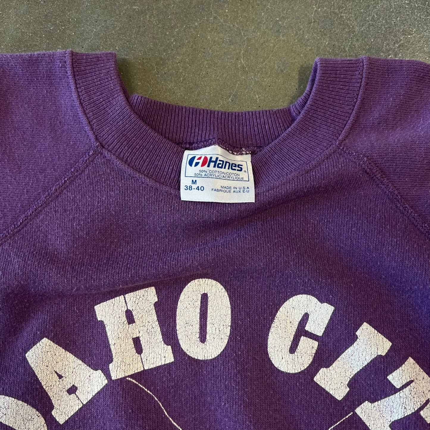1980s Idaho City Crewneck [M]