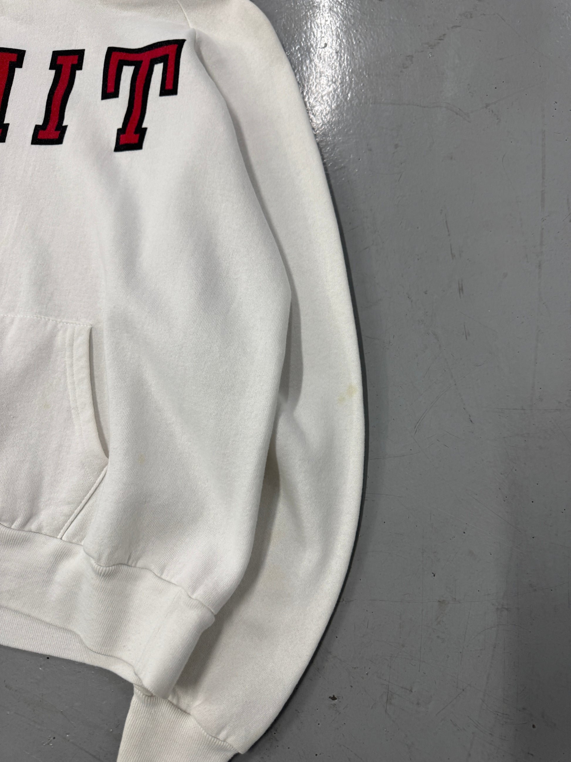 1980s MIT Champion Hoodie [S/M]