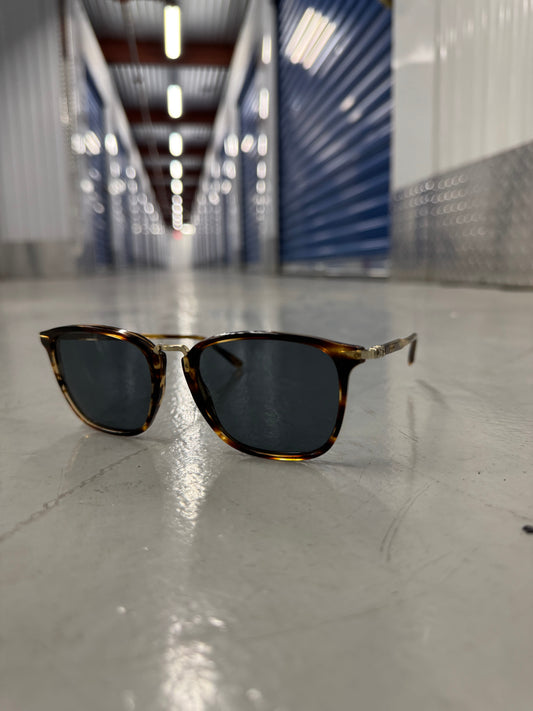 Ferragamo Sunglasses